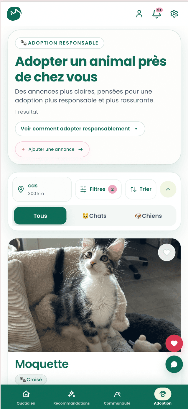 Écran réel du feed Adoption de l’application Mooqet