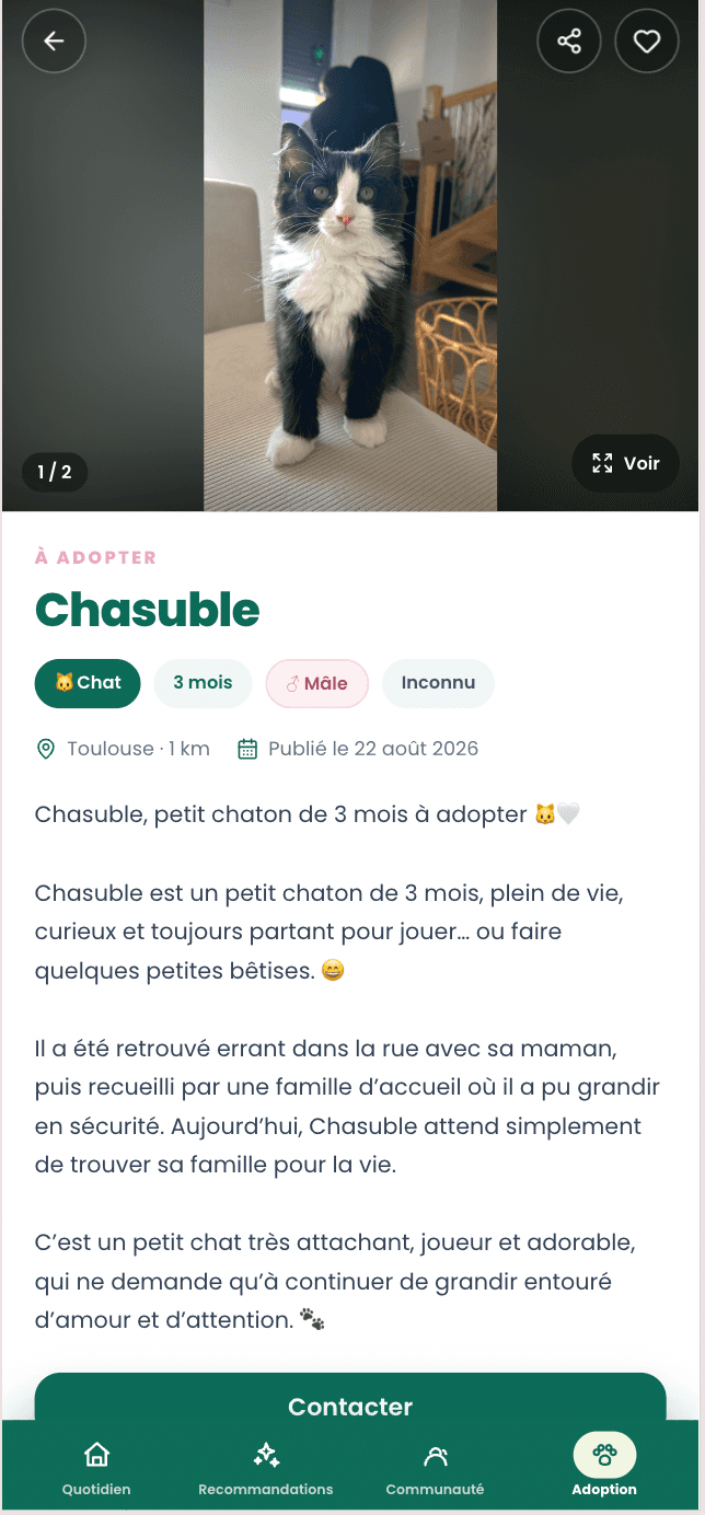 Annonce d’adoption de Chasuble sur Mooqet